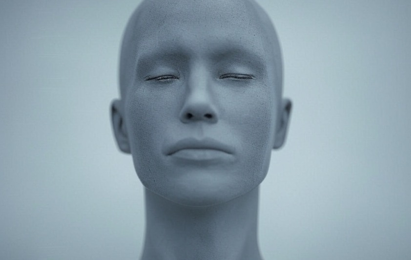gray statue head